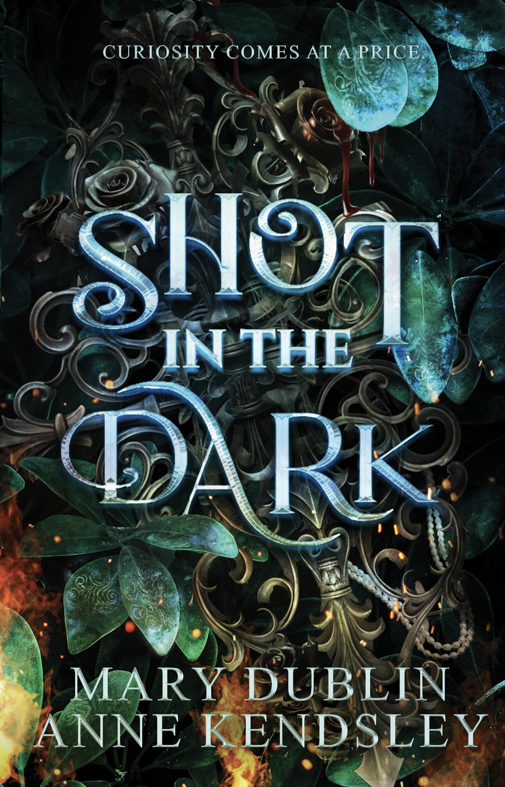 Shot in the Dark (Shot in the Dark, #1) by Mary Dublin | Goodreads