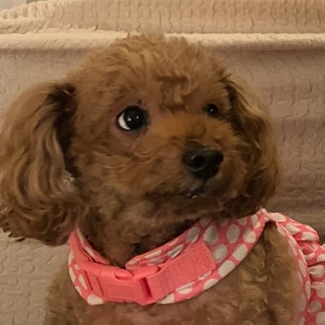 Amazon.co.jp: FX-Jinの人生大逆転 あなたにもできるFX成功術 : FX