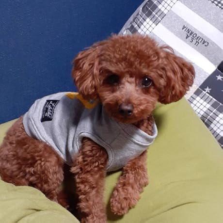 Amazon.co.jp: 警部マクロード DVD-BOX1 : デニス・ウェーバー