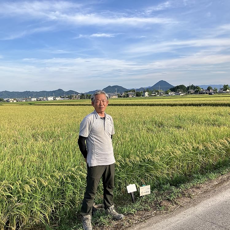 Amazon.co.jp: お米の1009