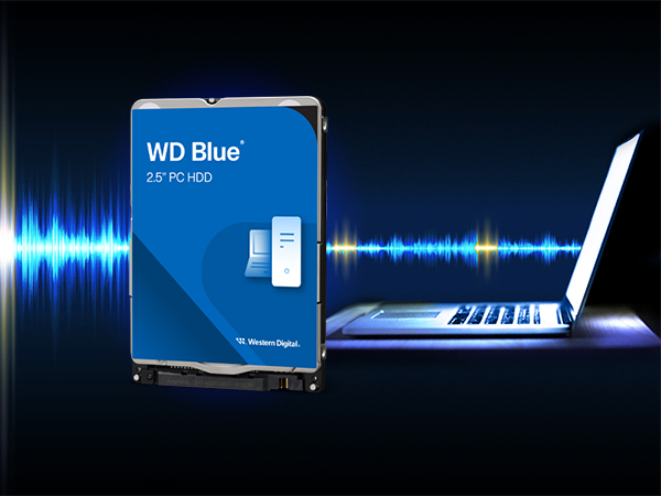Amazon.com: Western Digital 1TB WD Blue Mobile Hard Drive HDD