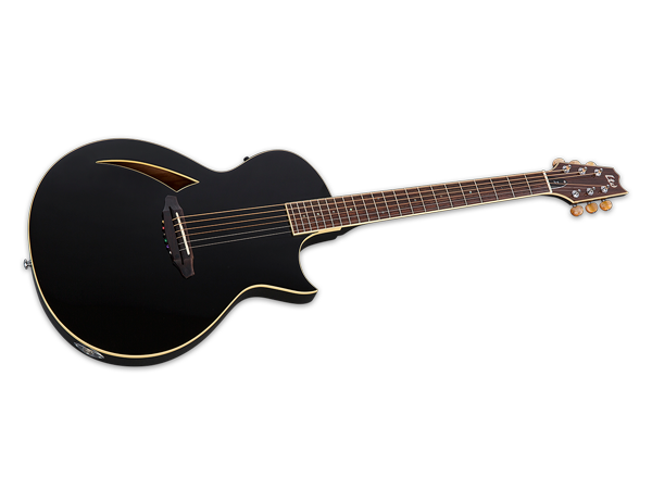Amazon.com: ESP LTD TL-6 Acoustic-electric Guitar - Black
