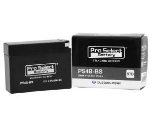 Amazon | ProSelect(プロセレクト) バイクバッテリー GTZ4V互換 GL