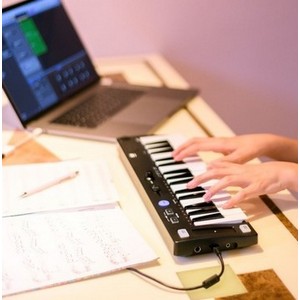 Amazon.co.jp: ミディテック GM音源(128音色)/スピーカー内蔵 USB対応