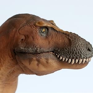 Amazon.co.jp: PNSO 恐竜博物館 1/35 サイズ ティラノサウルス