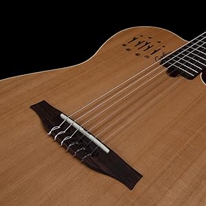 Amazon | GODIN (ゴダン) ナイロンギター エレガットギター Multiac
