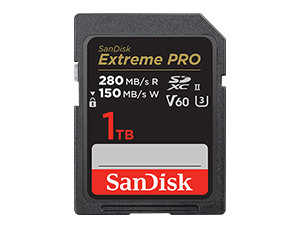 Amazon.com: SanDisk 512GB Extreme PRO SDXC UHS-II Memory Card