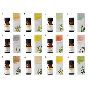 Amazon.co.jp: 生活の木 エッセンシャルオイル 5ml 12本セット アロマ