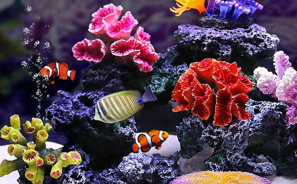 Amazon | Luottus 人工珊瑚 サンゴ 水槽 コーラル オブジェ レプリカ