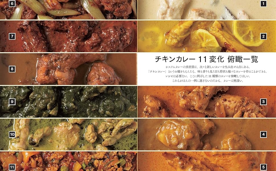 水野仁輔 システムカレー学 | 水野 仁輔 |本 | 通販 | Amazon