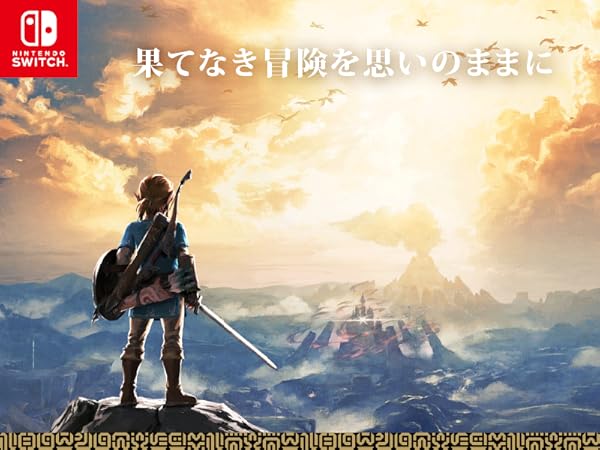 Amazon.co.jp: 【Switch用追加コンテンツ】 ゼルダの伝説 ブレス オブ