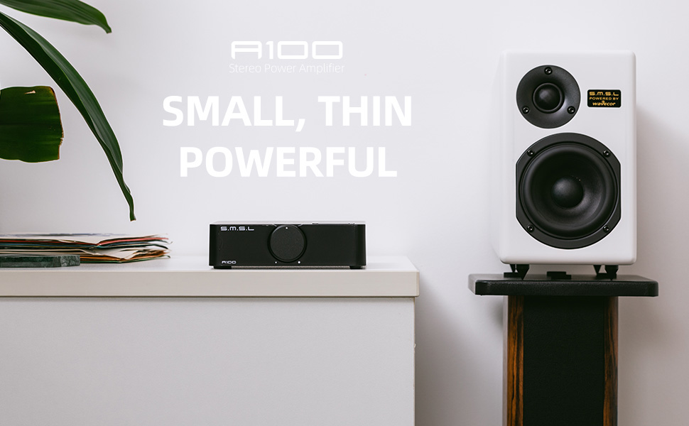 スピーカー・ウーファー Paradigm Monitor SE & S.M.S.L A100