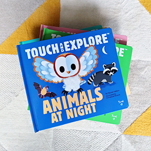 Touch and Explore: Safari: Babin, Stephanie, Deneux, Xavier