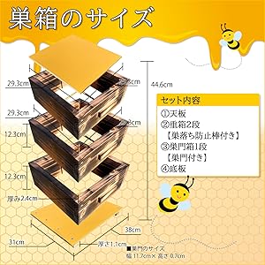 Amazon.co.jp: 日本蜜蜂 日本みつばち 日本ミツバチ 巣箱 重箱式 (3段