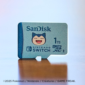 Amazon.com: SanDisk 1TB microSDXC Card Licensed for Nintendo