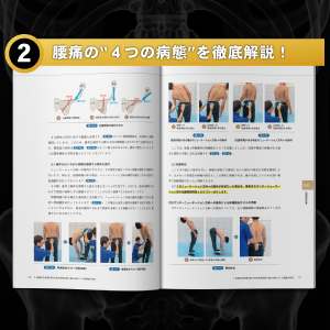 成田崇矢の臨床『腰痛』 (