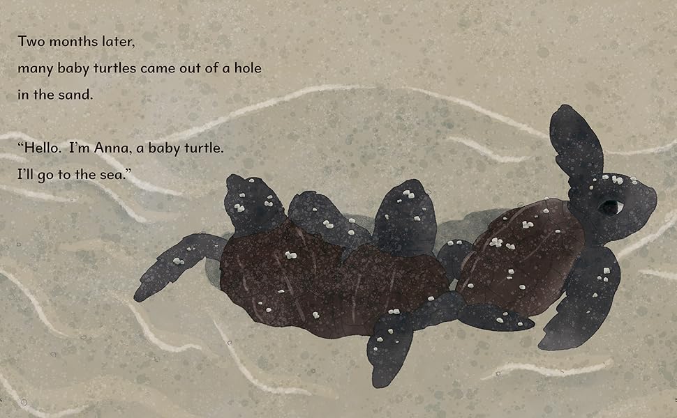 Amazon.co.jp: THE SEA TURTLE ウミガメ (小学生のための英語絵本