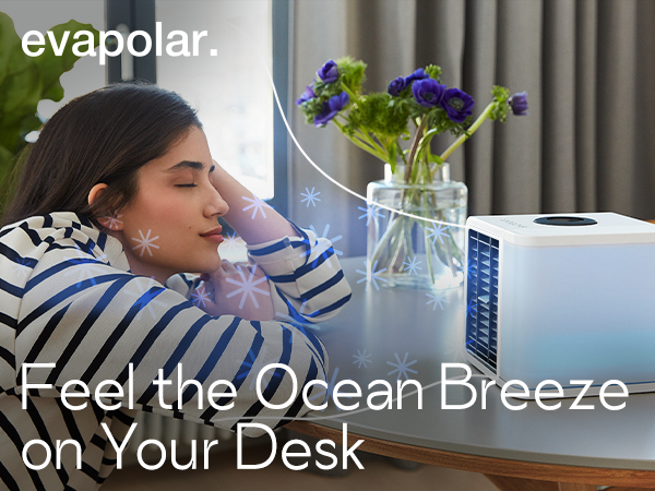 Amazon.com: Cooling Fan for Desk and Car - Portable Evaporative