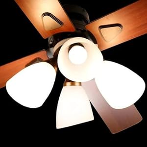 Amazon.co.jp : LOWYA ロウヤ 照明 シーリングファンライト シーリング