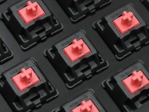 Amazon.co.jp: FILCO Majestouch 2SC ASAGI フルサイズ 日本語配列 茶