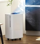 Amazon | アイリスオーヤマ コンパクトクーラーICA-0301G | アイリス