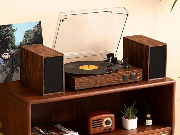 Amazon.com: Vinyl Record Player with External Stereo Speakers