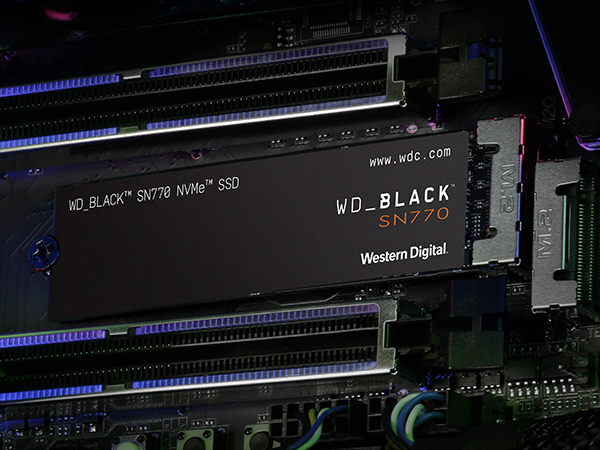 Amazon.com: WD_BLACK 500GB SN770 NVMe Internal Gaming SSD Solid