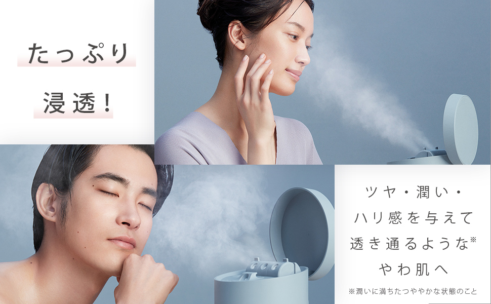Amazon.co.jp: SALONIA Salonia Pure Bright Steamer Facial Steamer