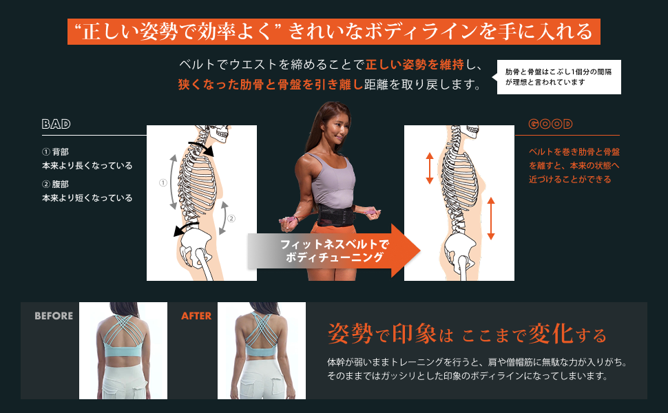 Amazon | ガードナーフィットネスベルト 正規品 男女兼用 トレーニング