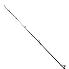 Amazon | ダイワ(DAIWA) ジギングロッド ソルティガ SJ AGS 55B-2 TG
