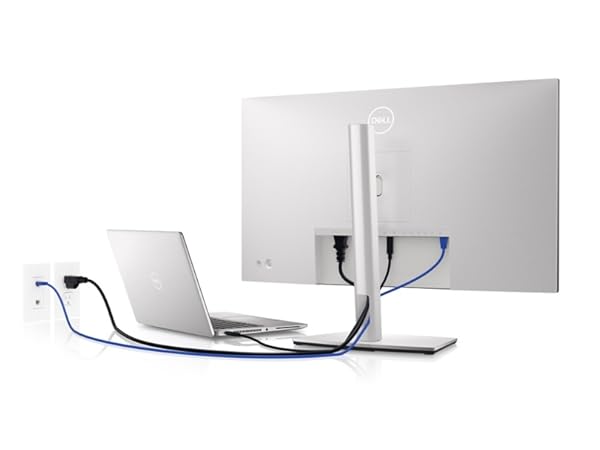 Amazon.com: Dell UltraSharp U2422HE 23.8