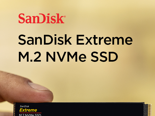 K*G様 M2.SSD500GB+SSD500GB メモリ8GB i3-6700 Amazon.com: SanDisk
