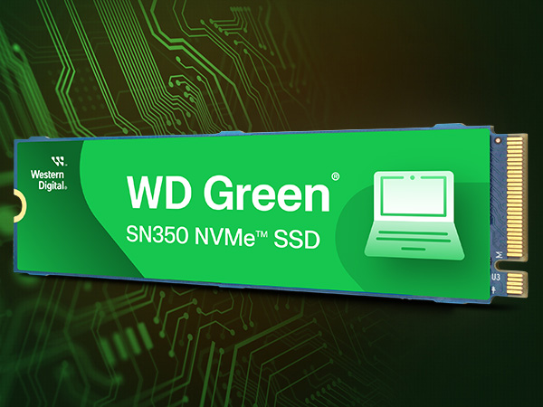 Amazon.com: Western Digital 2TB WD Green SN350 NVMe Internal SSD