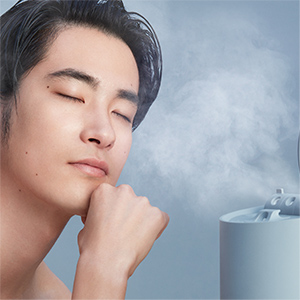 Amazon.co.jp: SALONIA Salonia Pure Bright Steamer Facial Steamer
