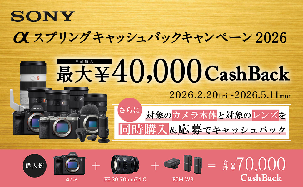 Amazon | SONY(ソニー) 【α6400 と バッテリー/チャージャー セット