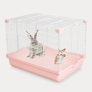 Amazon | YOKITOMO 小動物ケージ デグー お掃除しやすい 通気 持ち運び