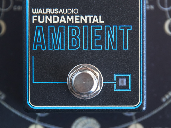 Amazon.com: Walrus Audio Fundamental Series Ambient Reverb