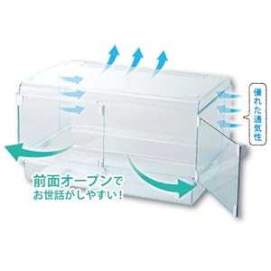 Amazon | ジェックス Harmony グラスハーモニーマルチ600 ガラス製