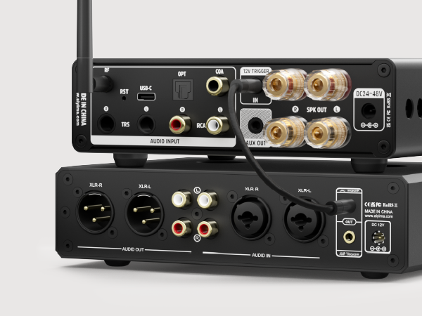 Amazon.co.jp: AIYIMA A80 【更新バージョン】 TPA3255デコードアンプ