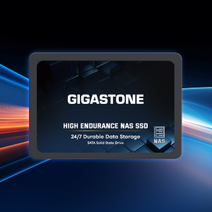 Amazon.com: Gigastone 【NAS Only】 2TB NAS SSD Drive (4-Pack) 24/7