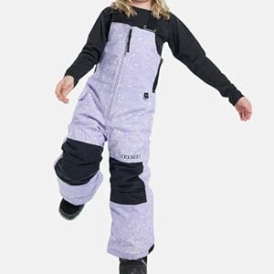 Amazon.co.jp: [バートン] スノーボード ウェア メイベン ビブパンツ
