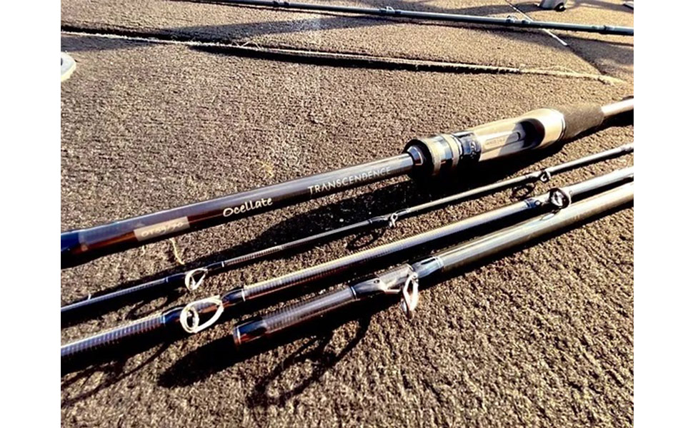 Amazon | 【TRANSCENDENCE/トランスセンデンス】Ocelate 59B