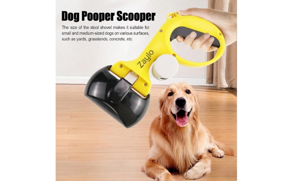 49c36587-f5ef-462a-ad57-