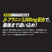 Amazon | VALX (バルクス) EAA9 Produced by 山本義徳 750g シトラス