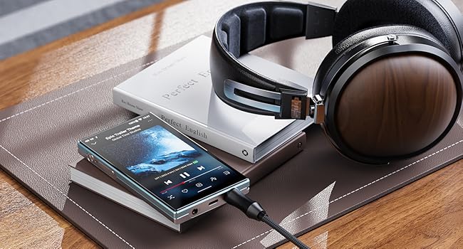 Amazon.co.jp: FIIO JM21 FIO-JM21-L【日本正規品・シリアルナンバー付