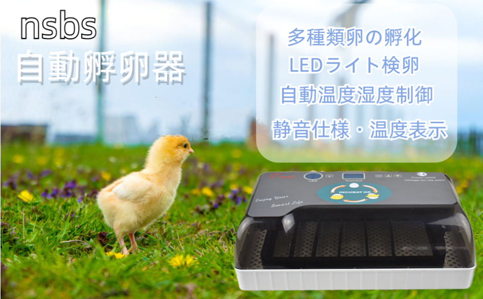 Amazon.co.jp: （nsbs）自動インキュベーター 自動孵卵器 孵卵機 12個
