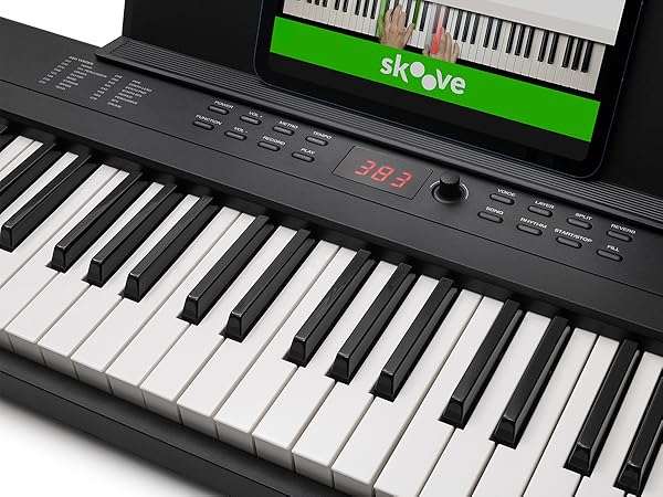 Amazon.co.jp: Alesis 電子ピアノ 88鍵盤 フルサイズ鍵盤 初心者向け