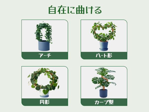 Amazon | 園芸 支柱 120cm 太め モンステラ支柱 ココスティック DIY