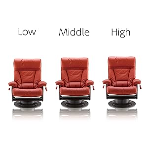 Amazon｜朝日木材加工 リクライニングチェア Tribuna Pulito Lowタイプ