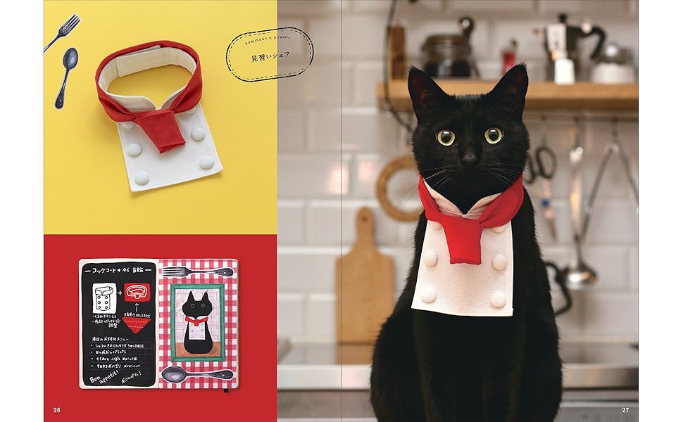 Amazon.co.jp: 黒猫と首輪 : 木野 聡子: Japanese Books